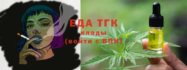 амф Новозыбков