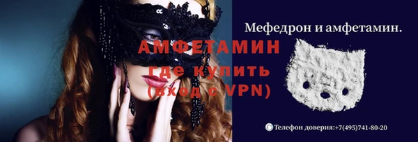 амф Новозыбков