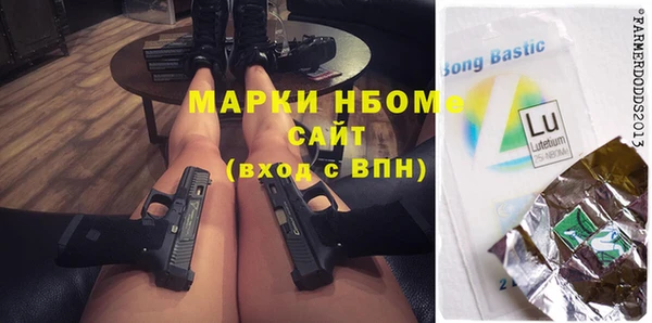 амф Новозыбков